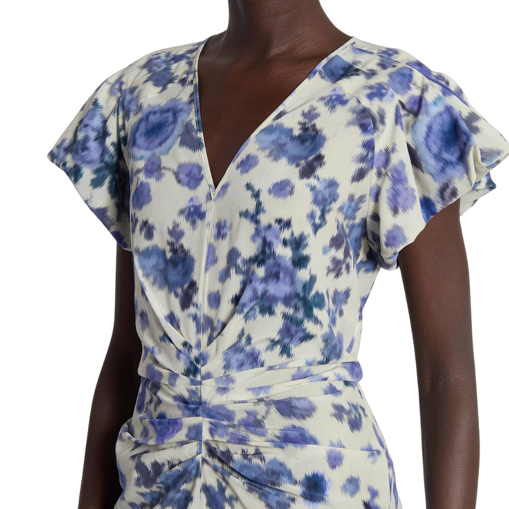 Isabel Marant Terenae Dress - Blue Roses