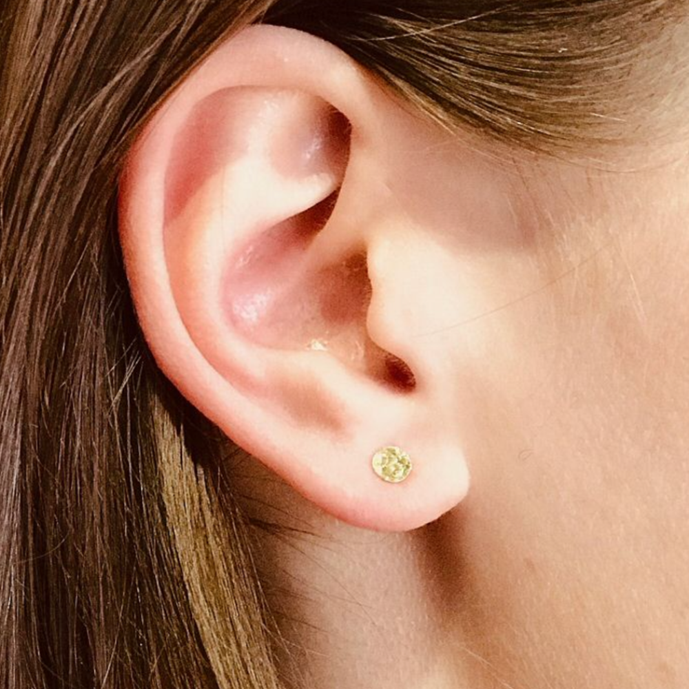 Laurence Puce Pastille Earrings