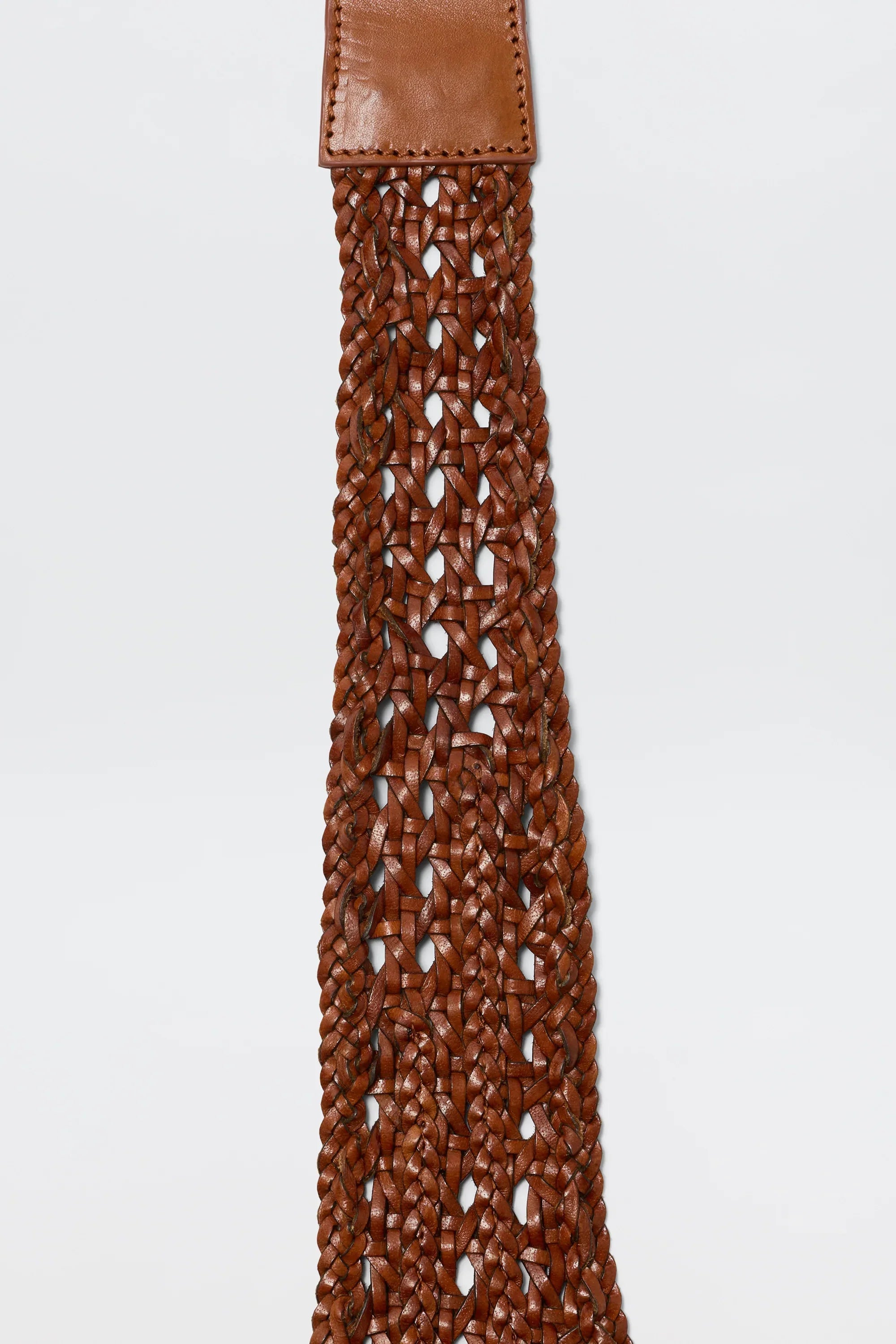 RIXO X Dragon Diffusion Roxelle Belt in Tan