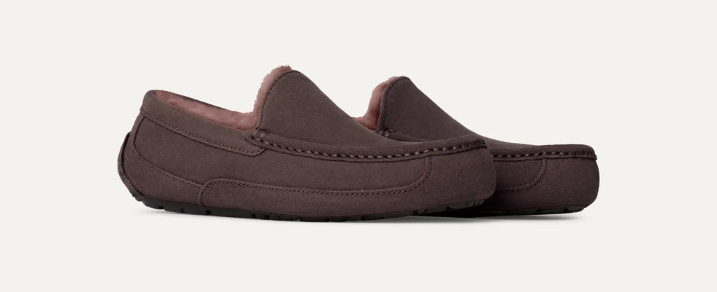 UGG Mens Ascot Slipper | Dusted Cocoa