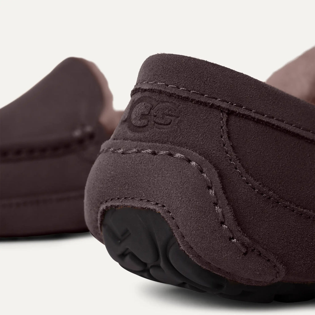 UGG Mens Ascot Slipper | Dusted Cocoa