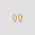 Brass Earrings