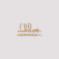 Icon Hair Clip