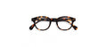 IZIPIZI Reading Glasses C in Tortoise