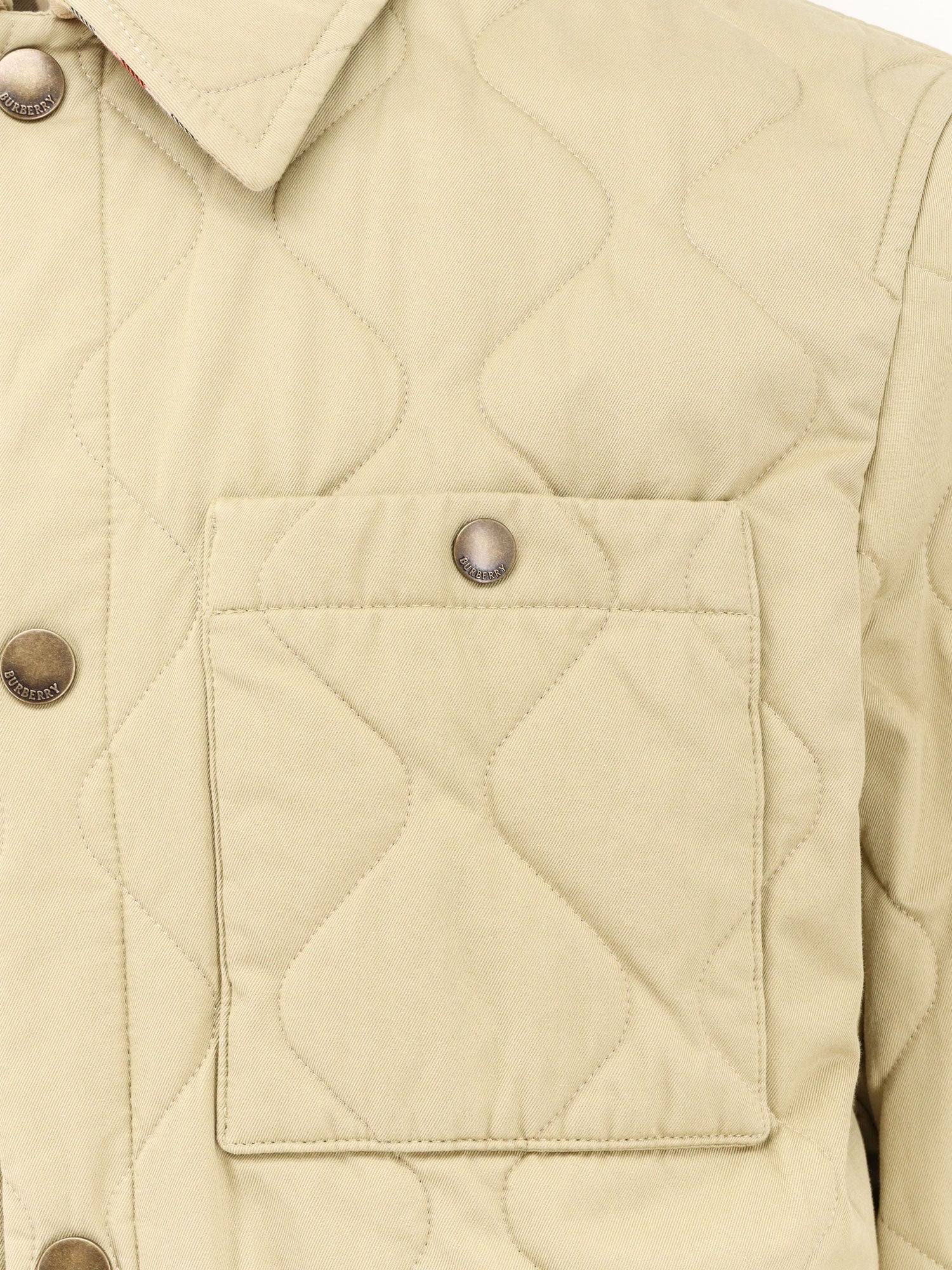 Cotton padded jacket