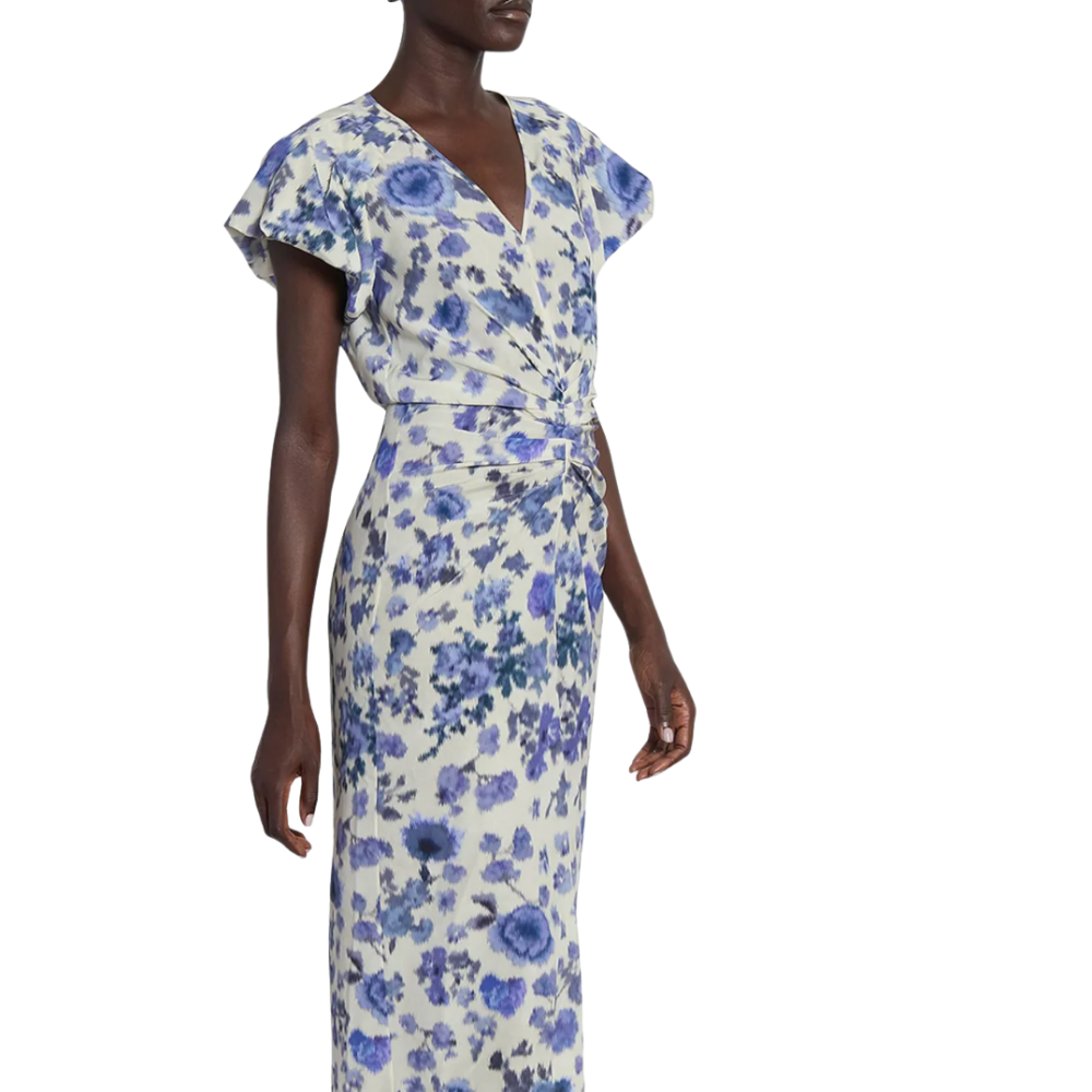 Isabel Marant Terenae Dress - Blue Roses