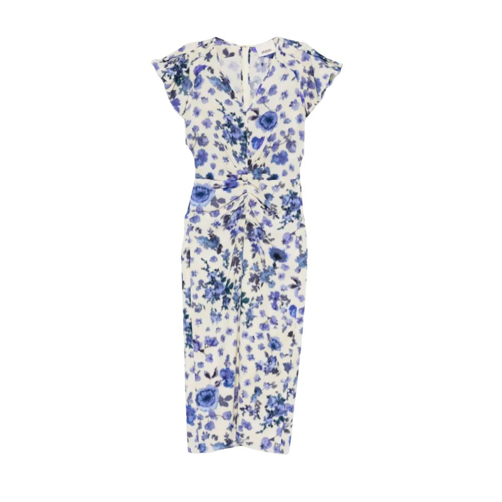Isabel Marant Terenae Dress - Blue Roses
