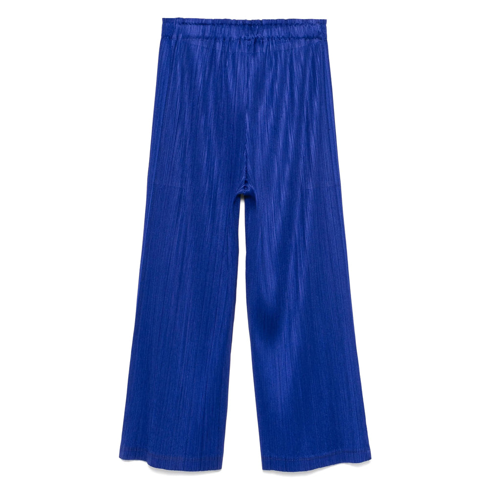Pant Pleats Please