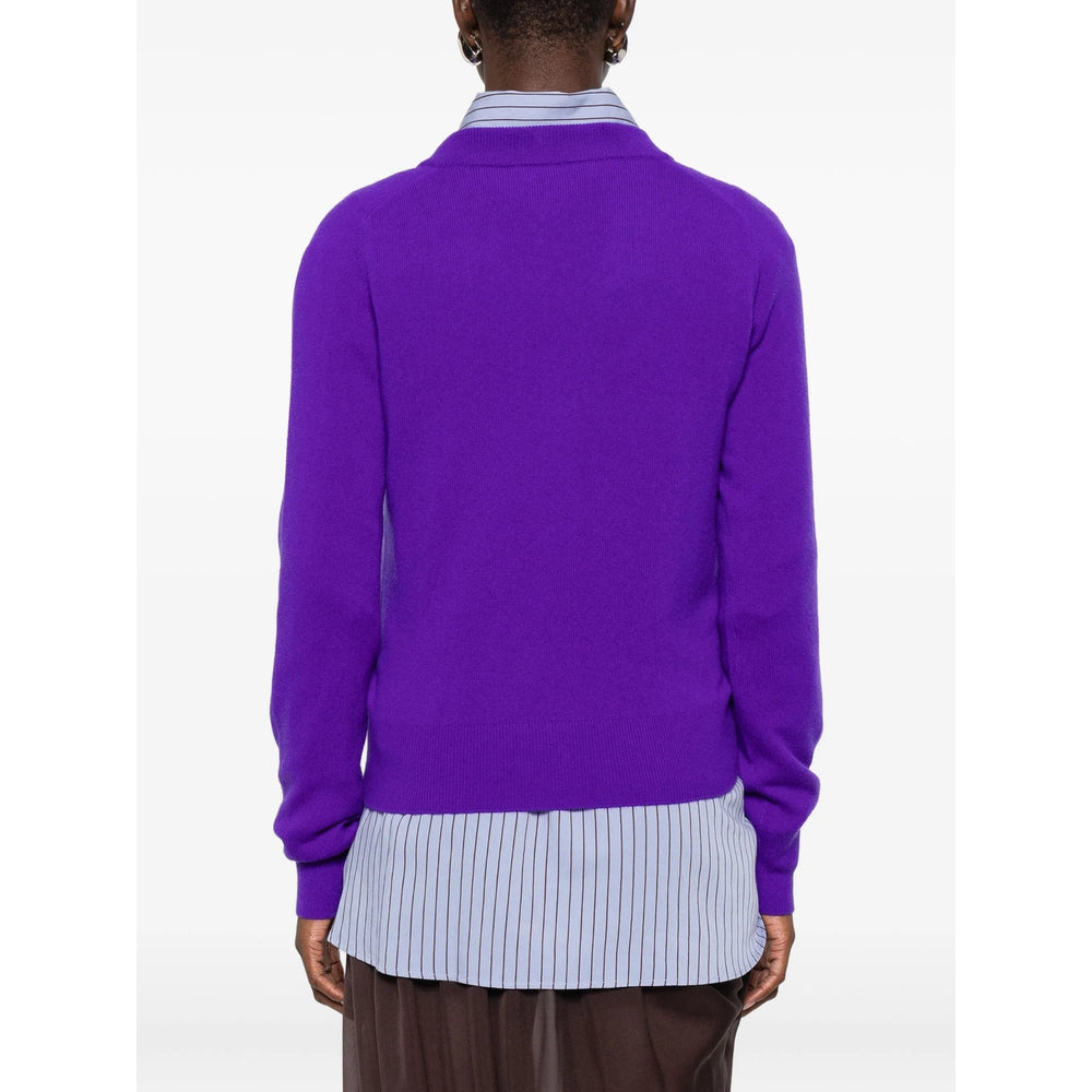 Purple Accent V-neck Top