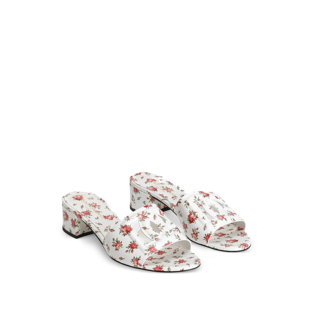 Shoes Dolce & Gabbana