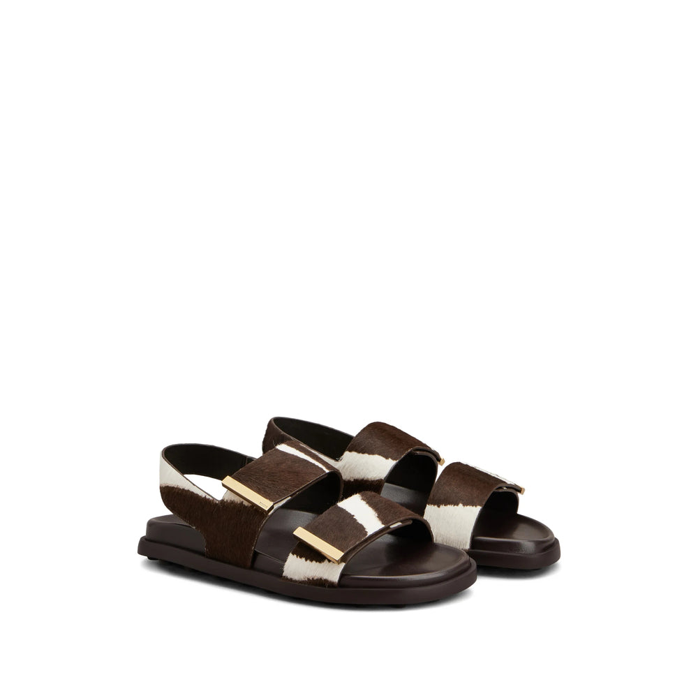 Shoes Tod's