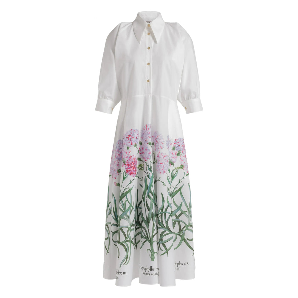 Dress Alberta Ferretti
