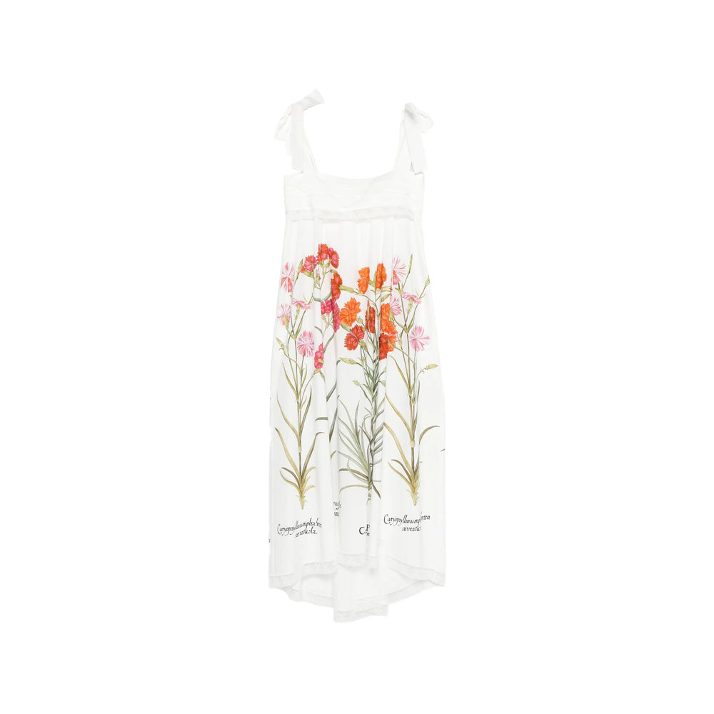 Dress Alberta Ferretti