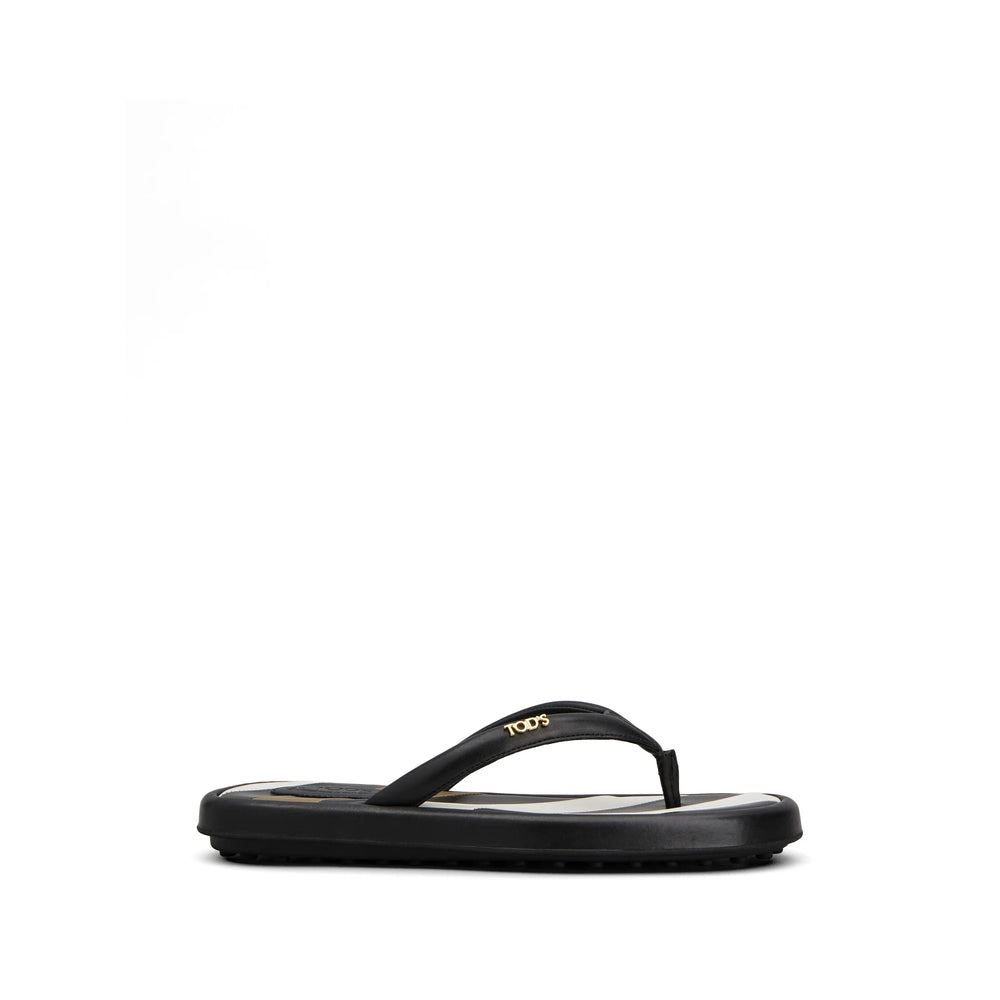 Shoes Tod's