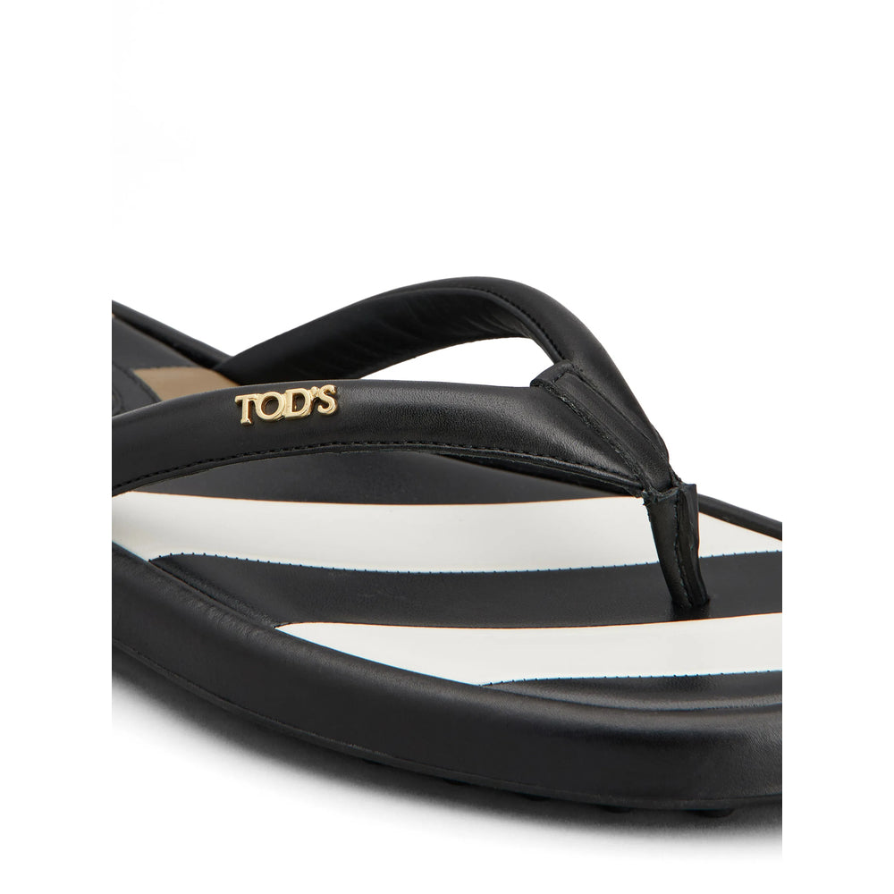 Shoes Tod's