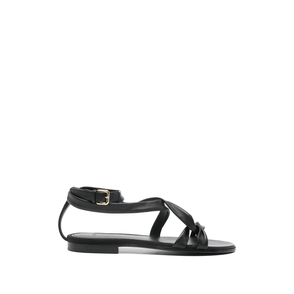 Shoes Co
