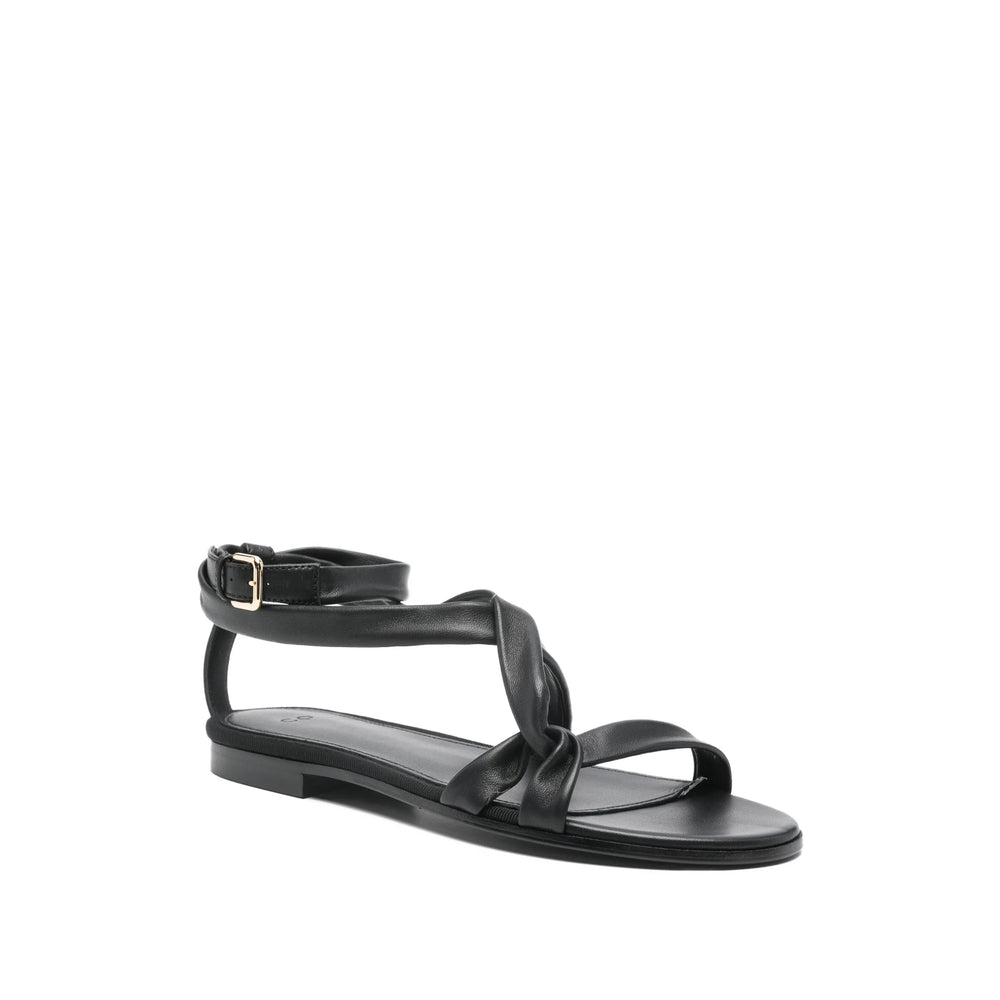 Shoes Co