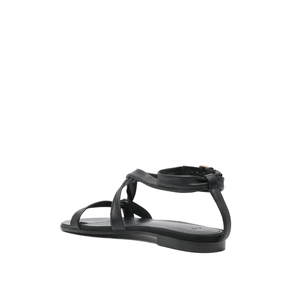 Shoes Co