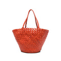 Bag Dragon Diffusion