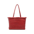 Bag Dragon Diffusion