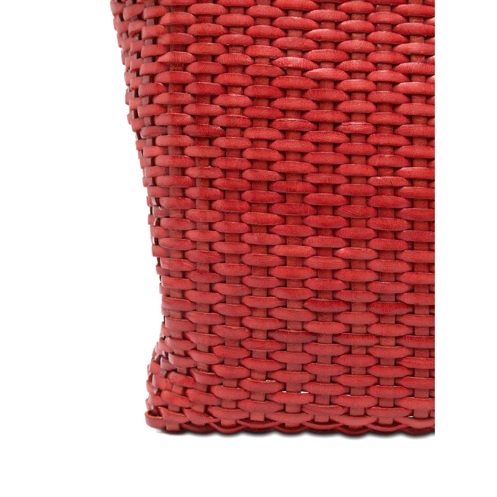 Bag Dragon Diffusion