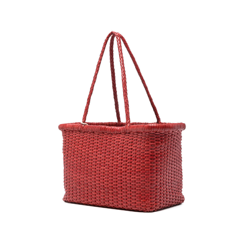 Bag Dragon Diffusion