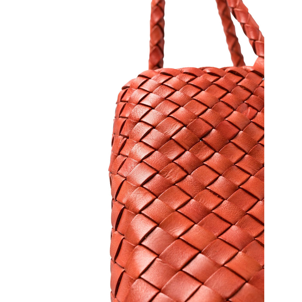 Bag Dragon Diffusion