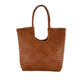 Bag Dragon Diffusion
