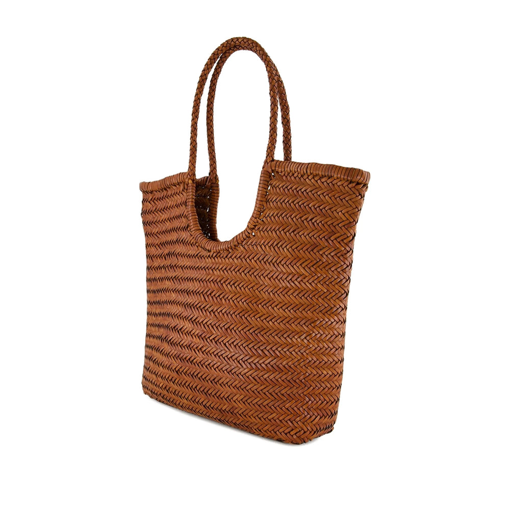 Bag Dragon Diffusion