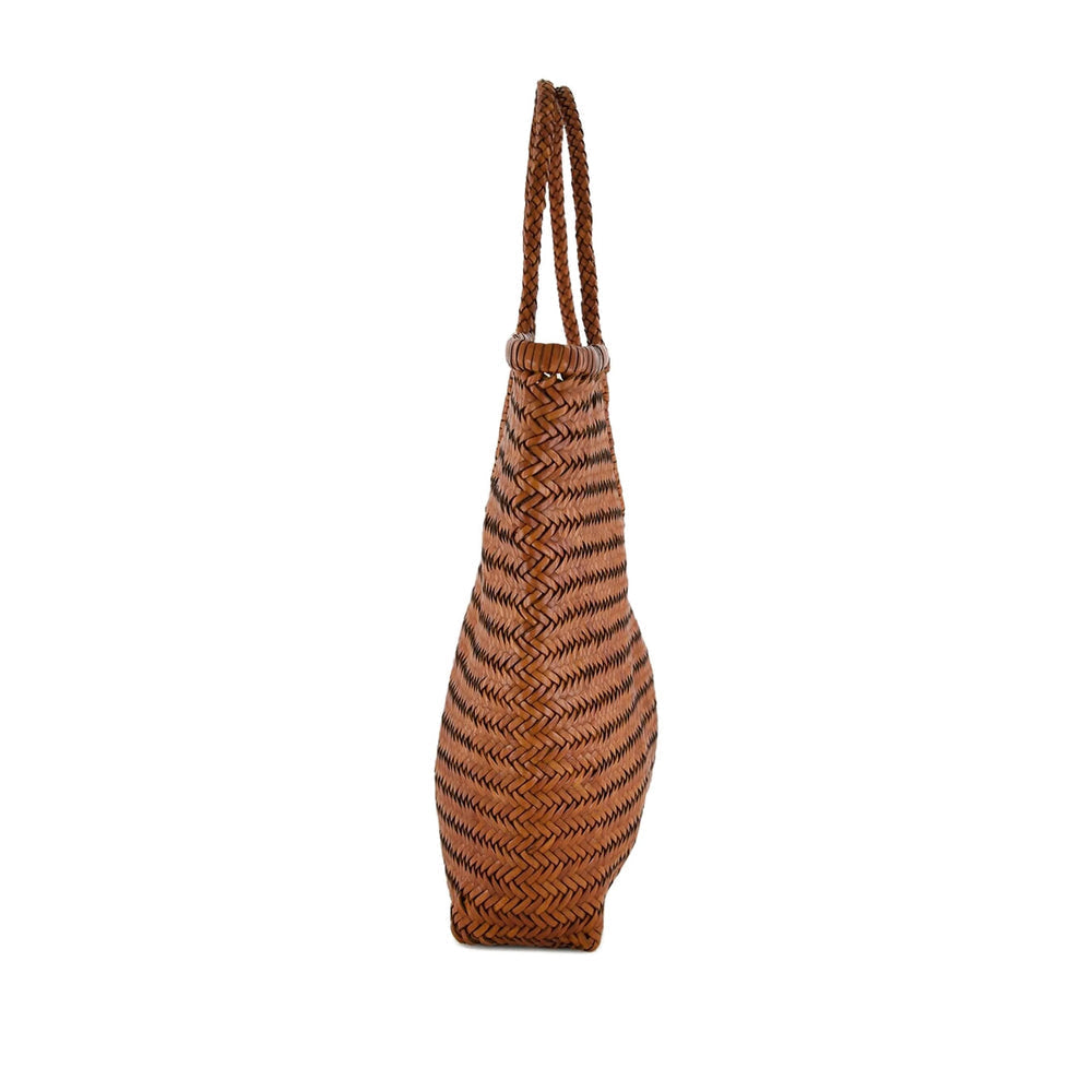 Bag Dragon Diffusion