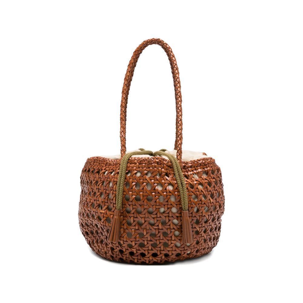 Bag Dragon Diffusion
