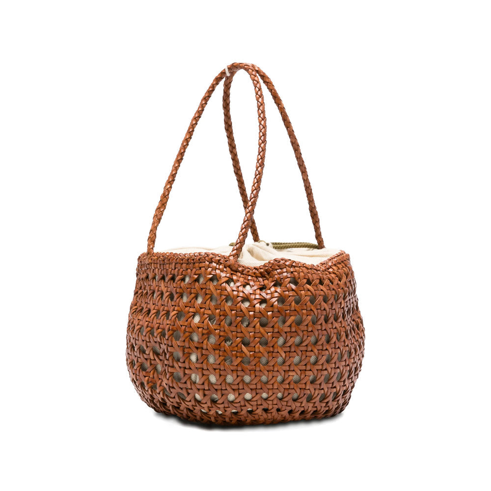 Bag Dragon Diffusion