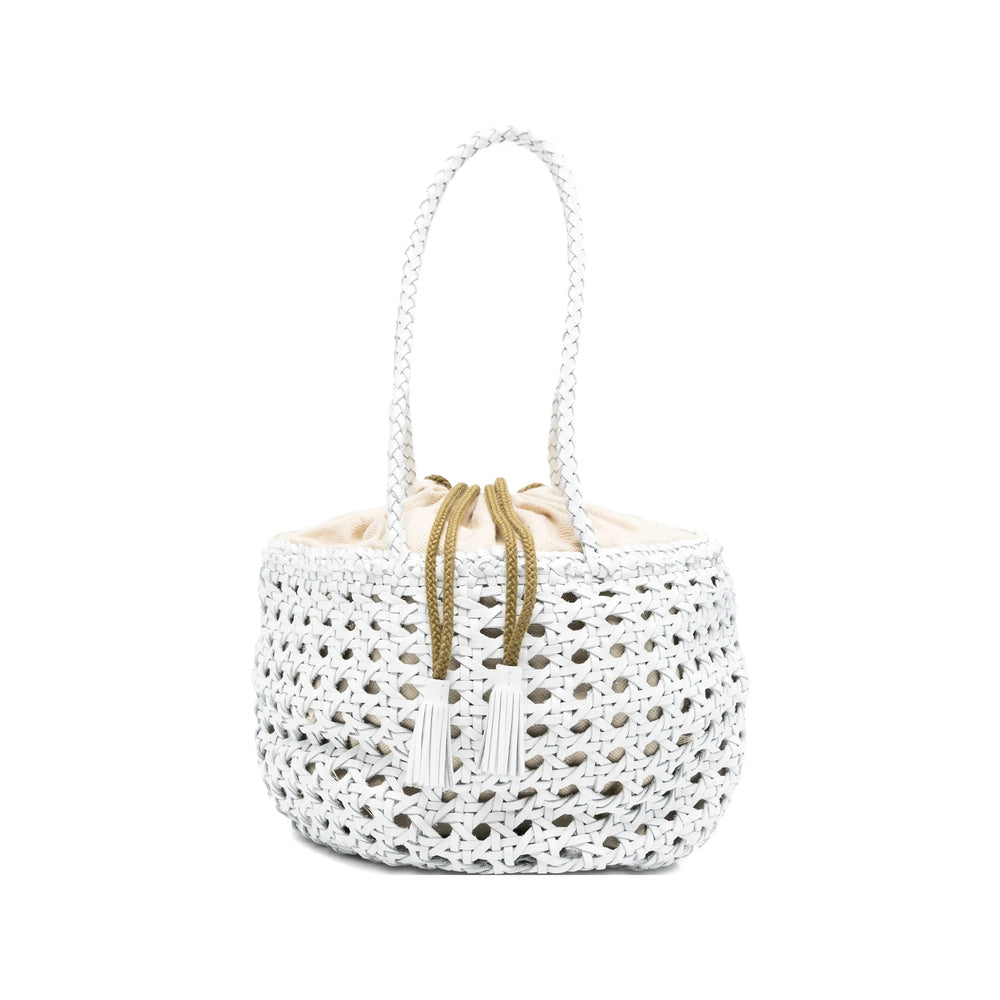 Bag Dragon Diffusion