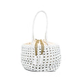 Bag Dragon Diffusion