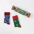 Bare Kind Christmas Cracker Blue Puffin & Green Puffin Bamboo Socks | 2 Pack