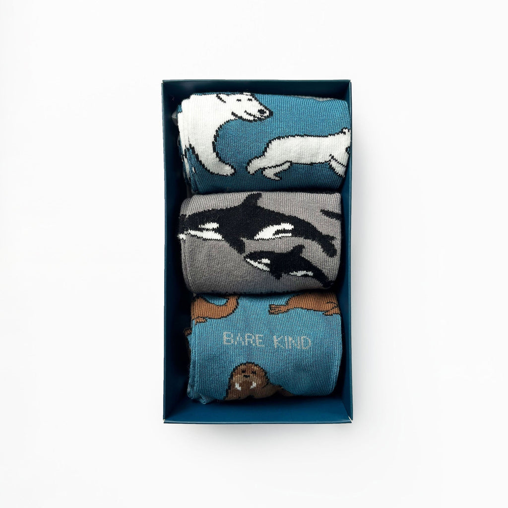 Bare Kind Arctic Bamboo Socks Gift Box | 3 Pack