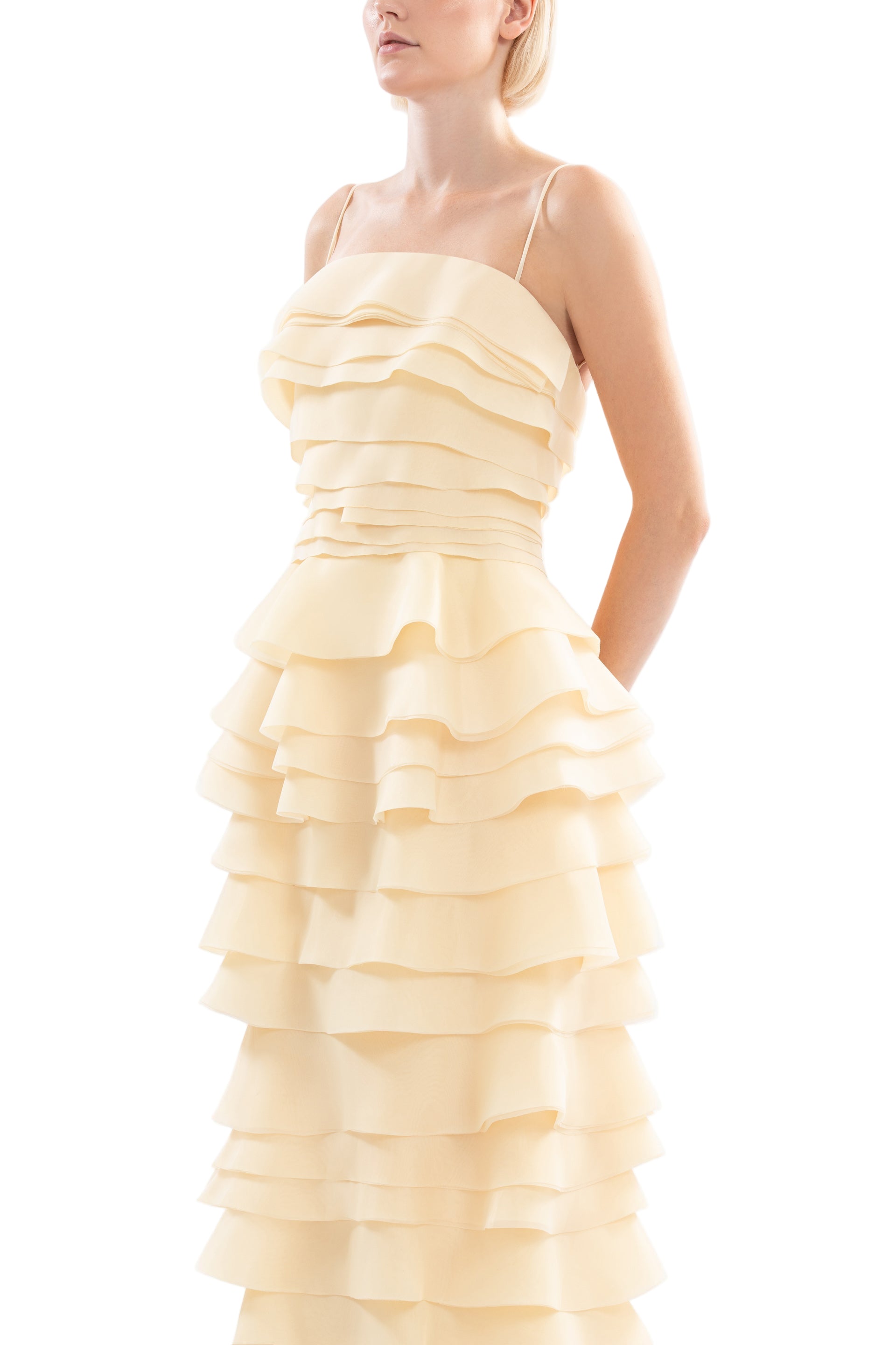 LAYERED ORGANZA LONG DRESS