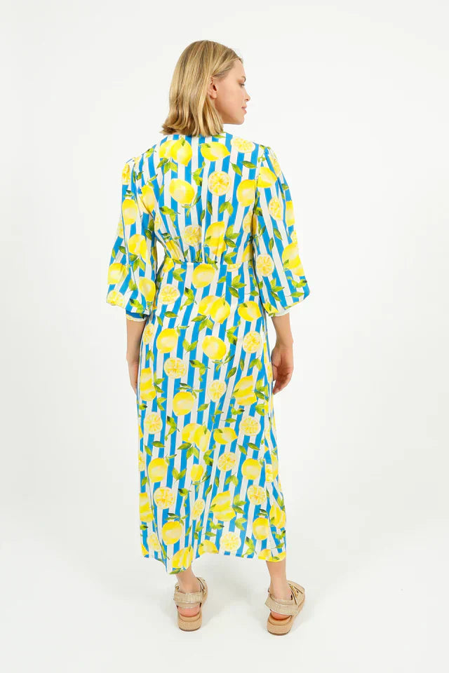 Primrose Park Opal Dress in Lemons