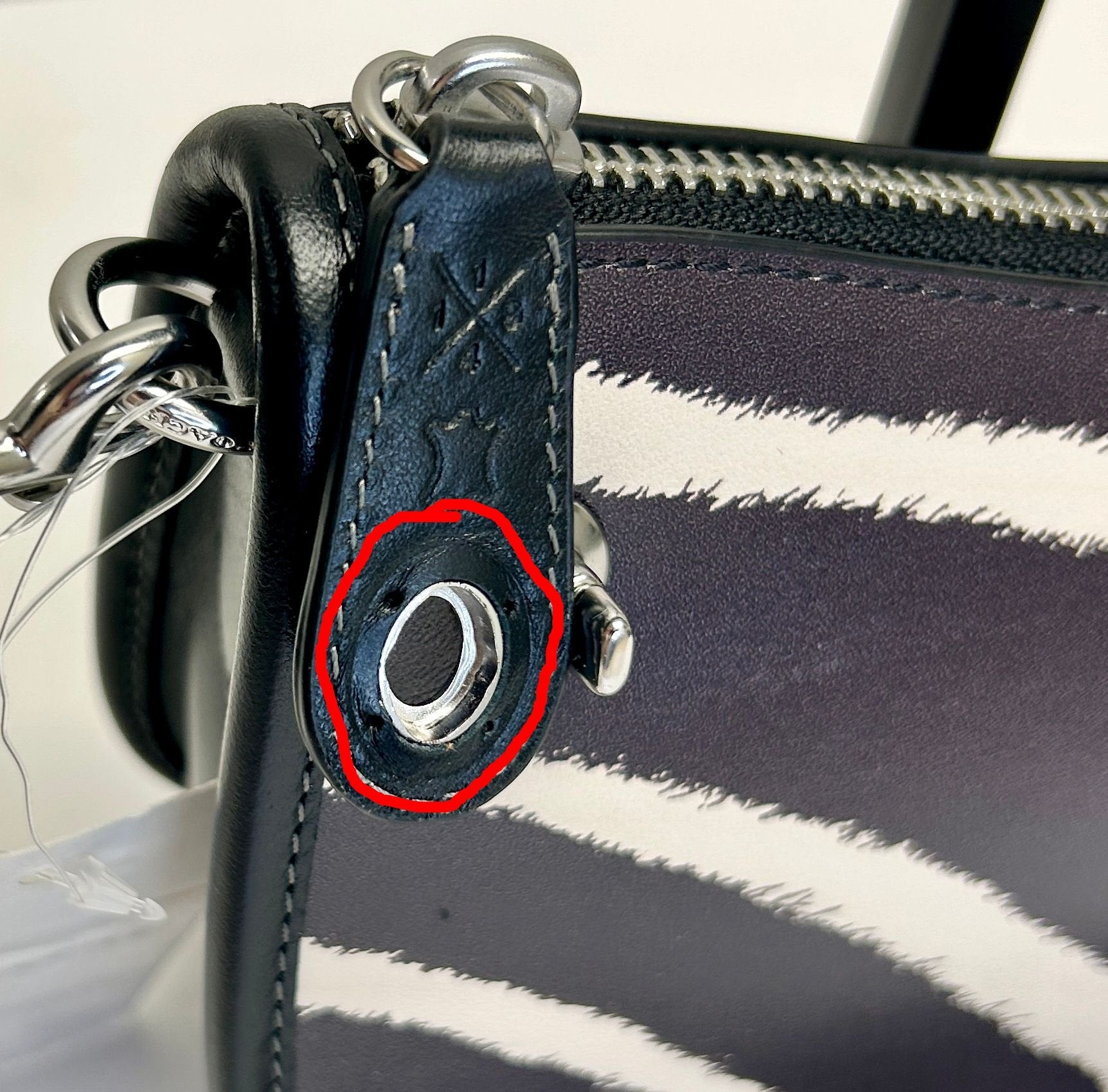 Coach Swinger Bag 20 With Zebra Print