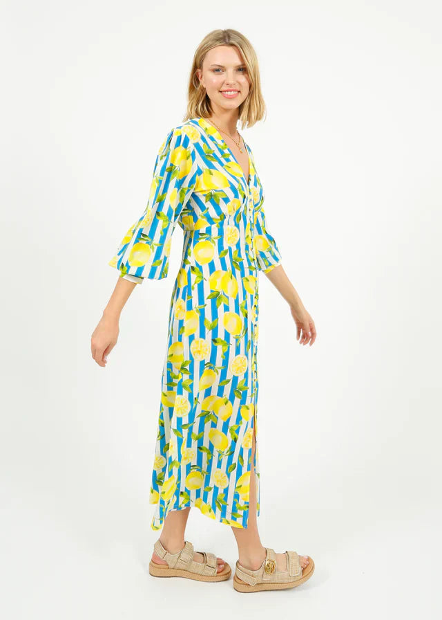 Primrose Park Opal Dress in Lemons